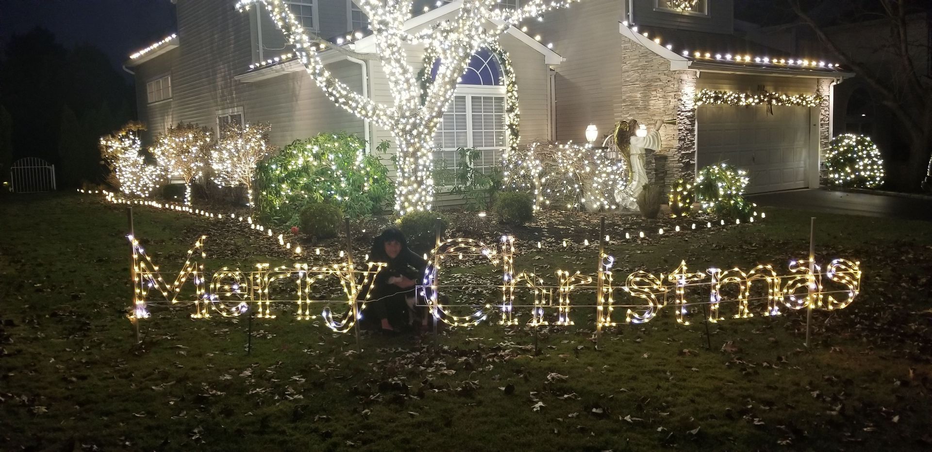 Christmas lights spelling “Merry Christmas” in front of a decorated house at night