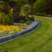 Curved landscaped garden bed with shrubs, yellow flowers, and a green lawn at dusk