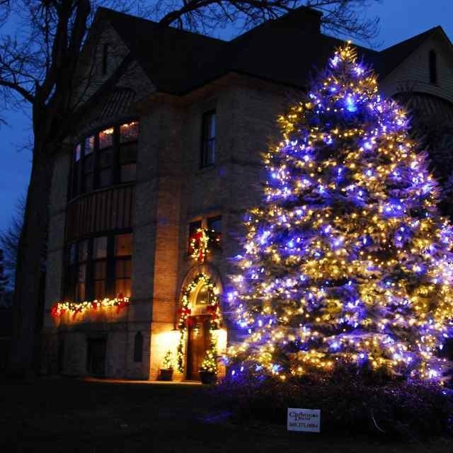 House at dusk decorated with glowing Christmas lights and a large lit tree in front