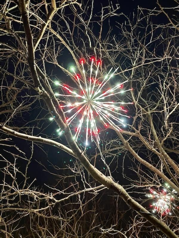 Fireworks bursting red and white behind silhouetted tree branches at night