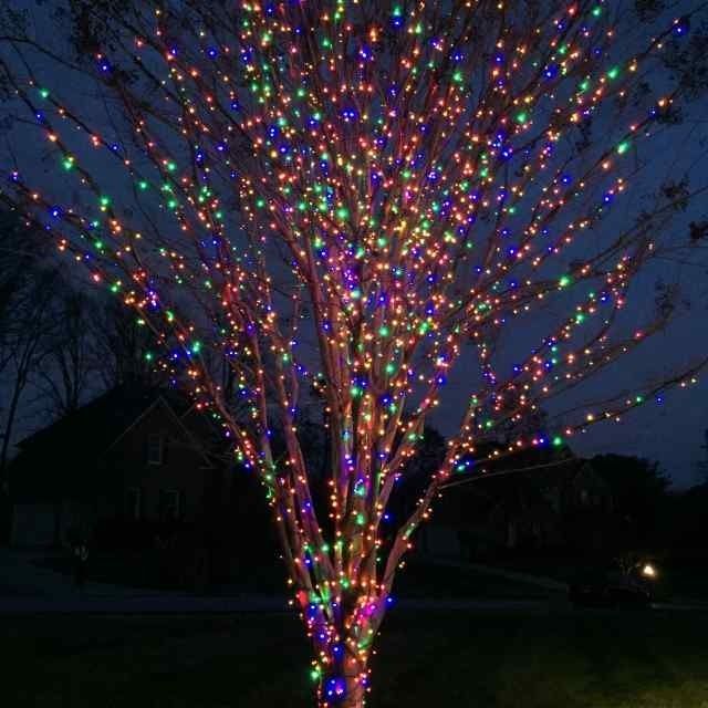 Tree wrapped in multicolored holiday lights at night in a dark yard