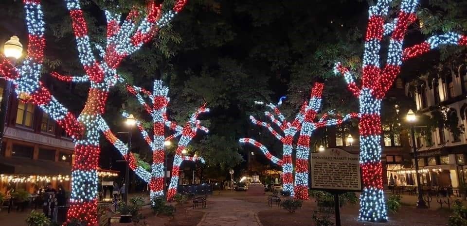 Night street scene with trees wrapped in red, white, and blue holiday lights along a lit city walkway