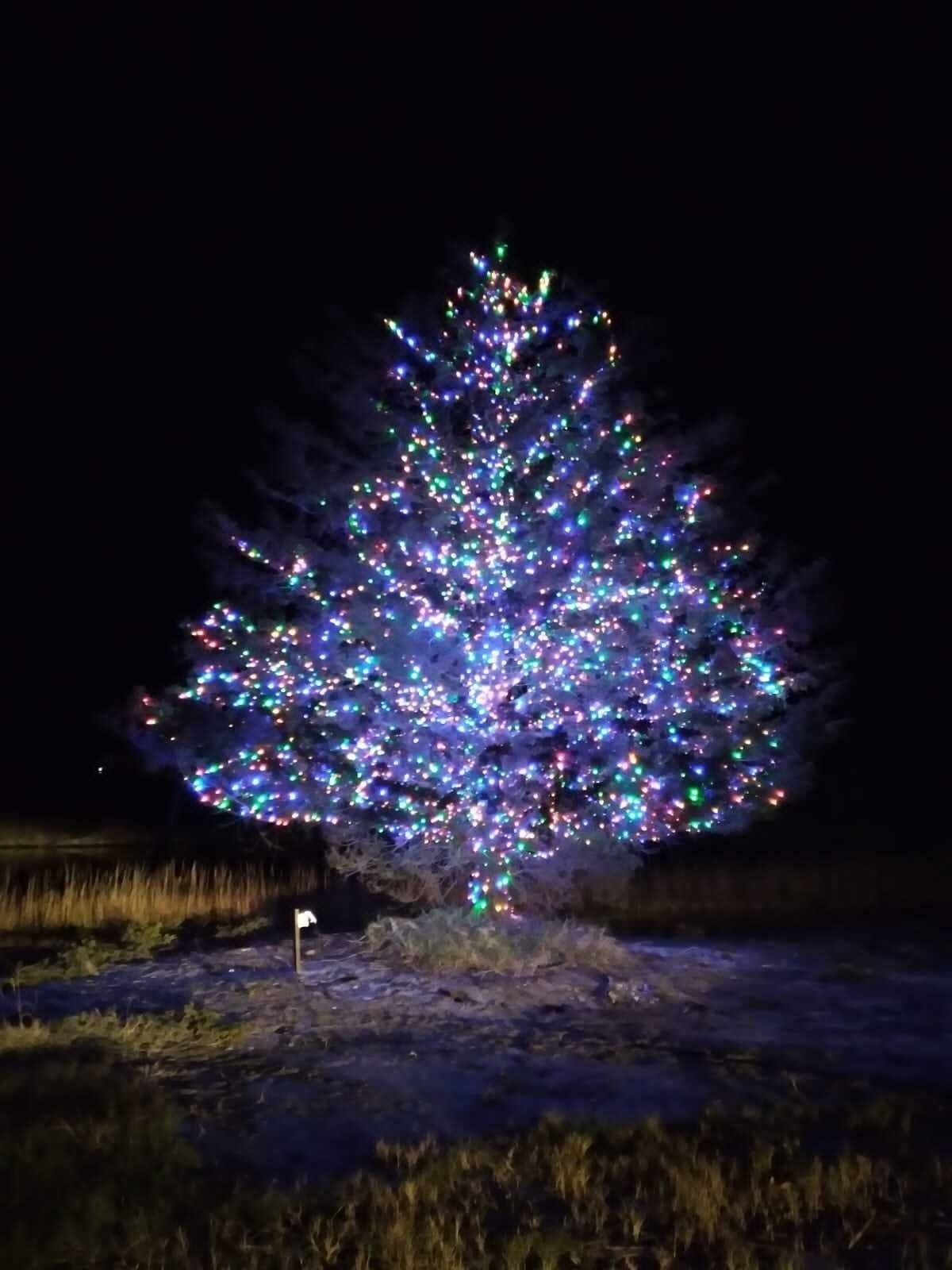 A brightly lit Christmas tree glowing with colorful lights in a dark outdoor field at night