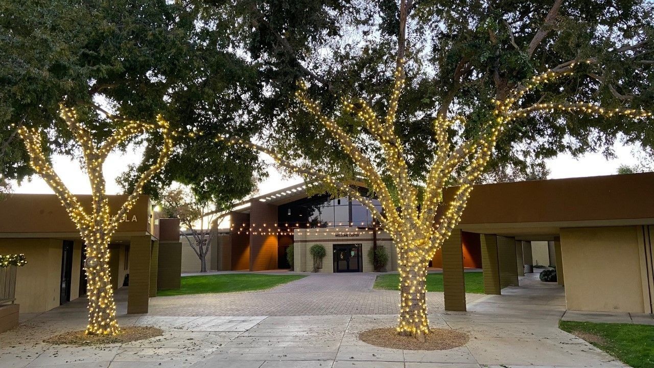 Courtyard entrance with two trees wrapped in white lights and a building in the background