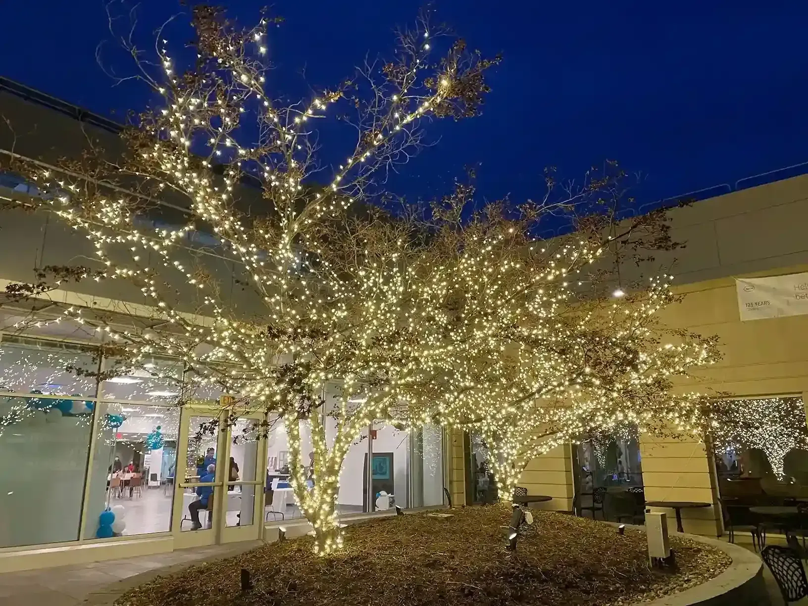 Courtyard trees wrapped in warm white lights outside a building at night