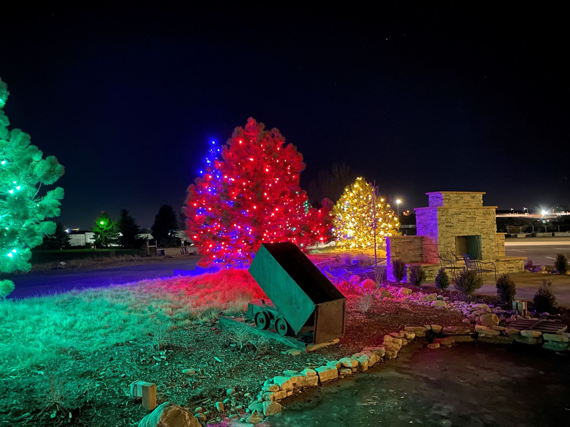 Colorful illuminated trees and lights in a landscaped outdoor garden at night