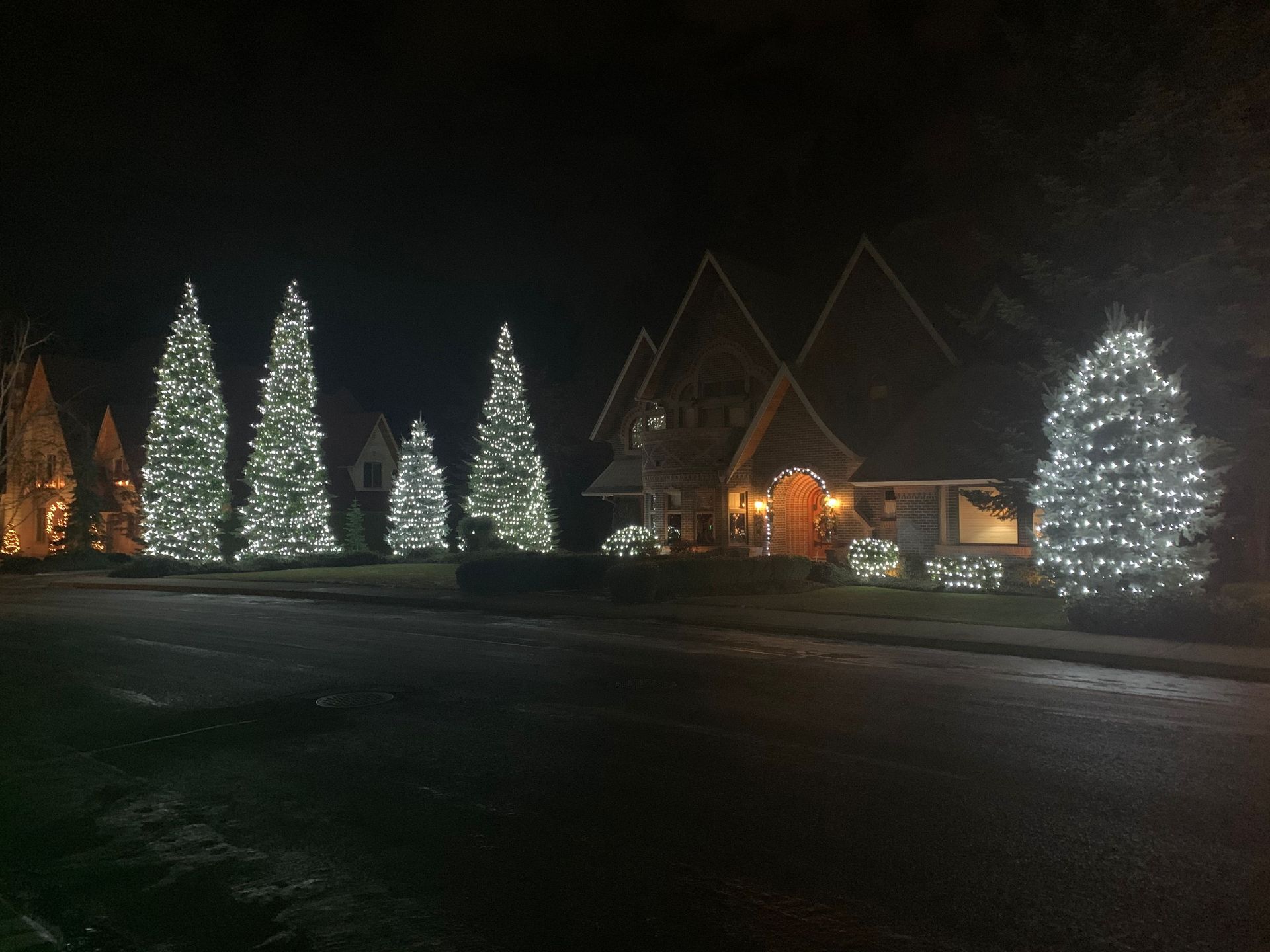 Snowy night scene with lit evergreen trees and a warmly lit house in the background