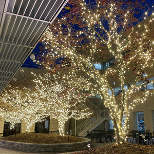 Courtyard trees wrapped in warm white lights at night beside a building and staircase