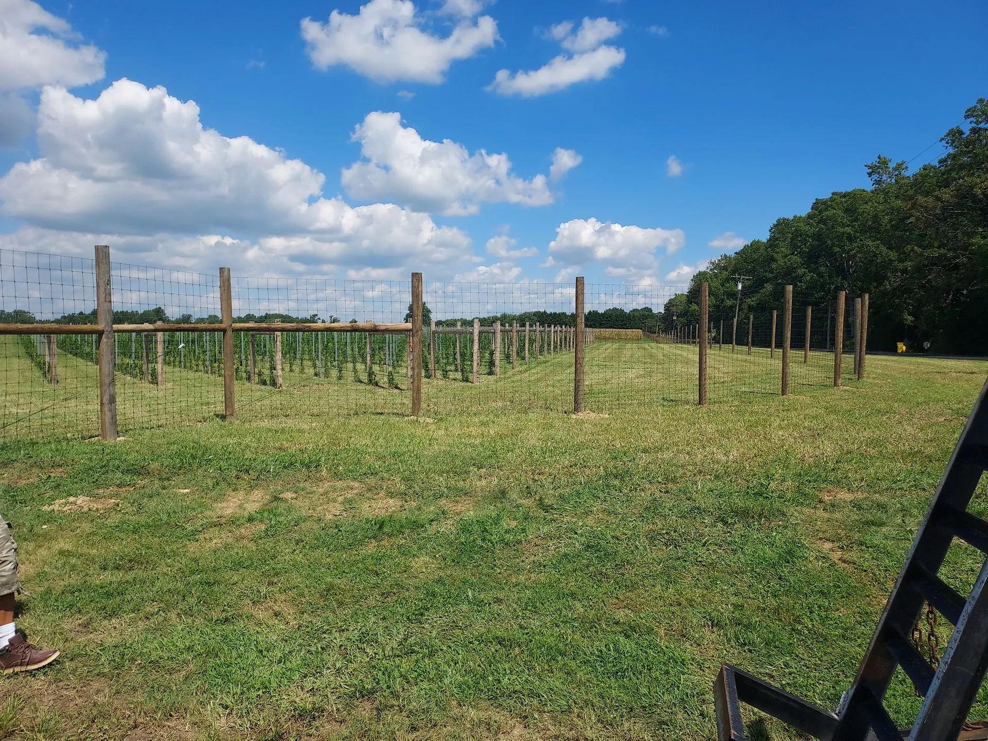 Rural pasture with wooden fence posts under a blue sky and clouds, grass in the foreground.