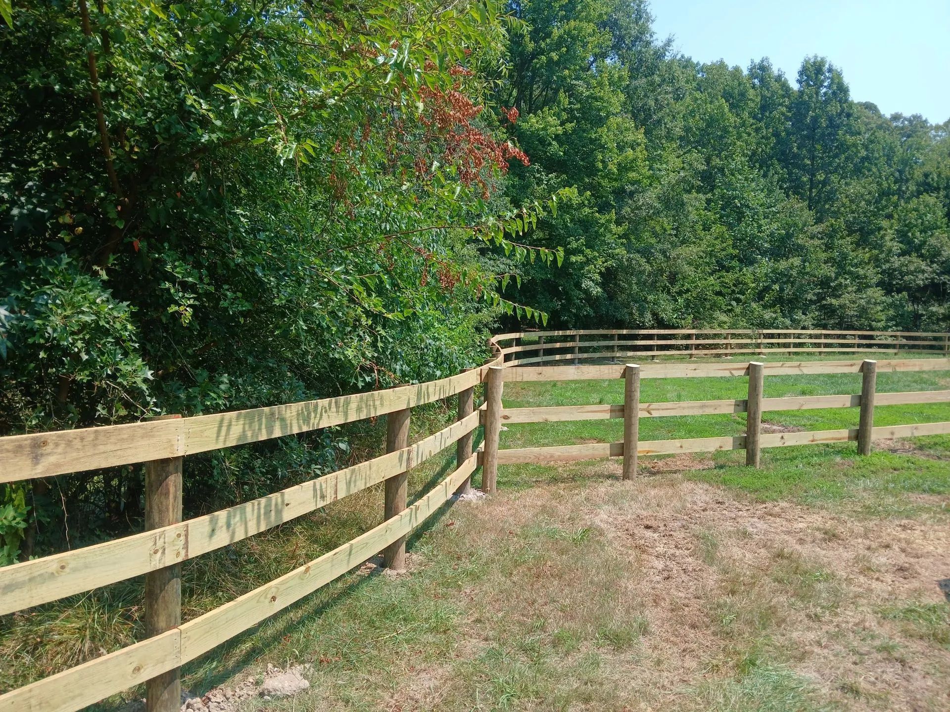 Wooden fence curving along a grassy field beside dense green trees under clear daylight