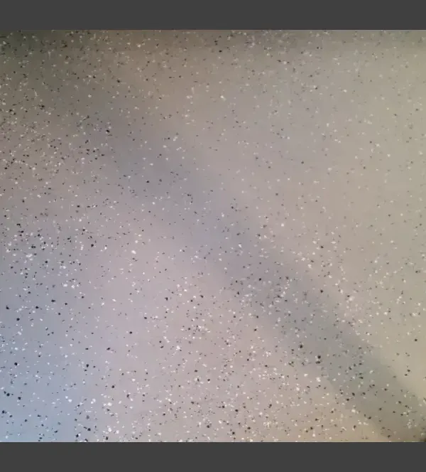 Stained Concrete With Black And White Dot - Summerville, SC - Woodrum Concrete LLC