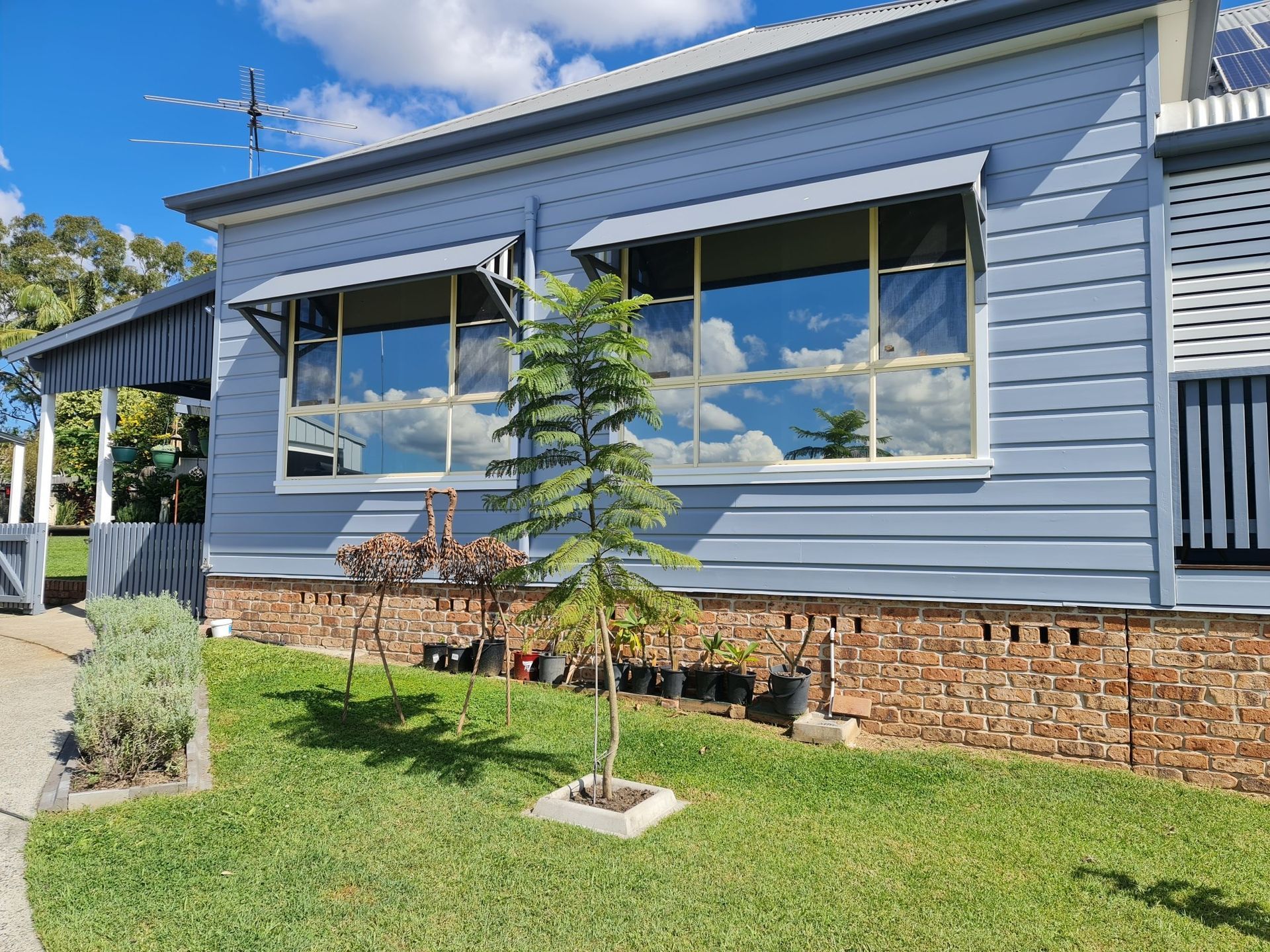 A blue house with tinted windows and a tree in front of it — PJ Tinting In Port Macquarie, NSW
