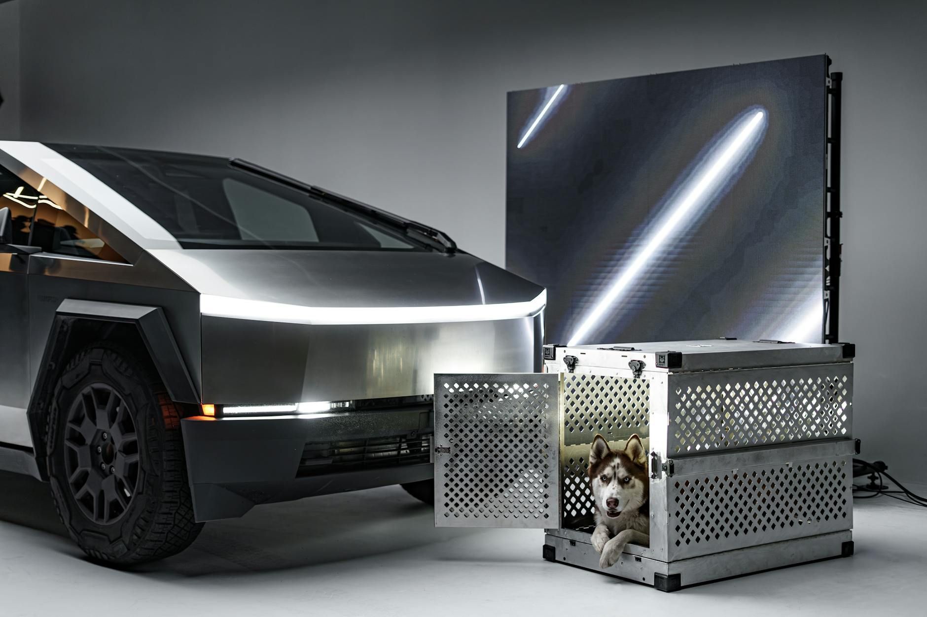 Tesla Cybertruck next to a metal dog crate with a husky inside. Studio setting with a light panel.