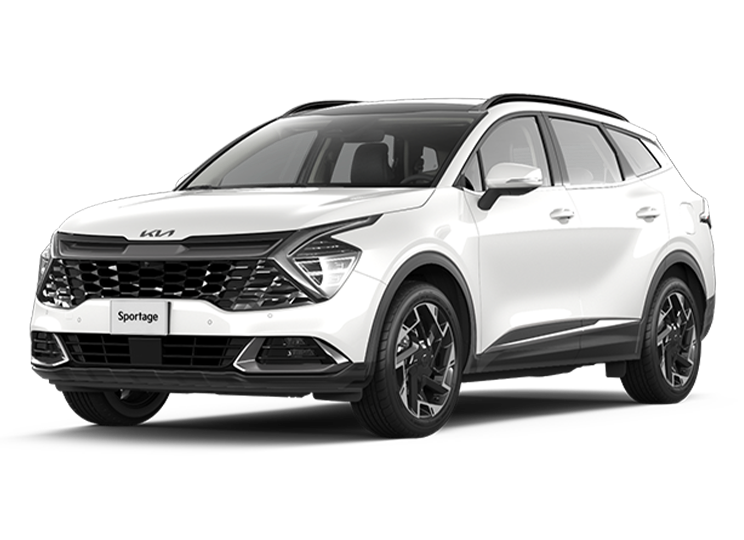 PALACIO RENT A CAR