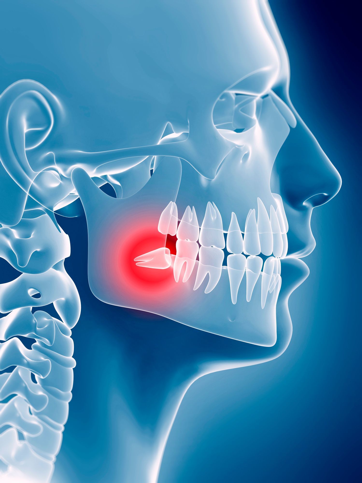 Endodonzia