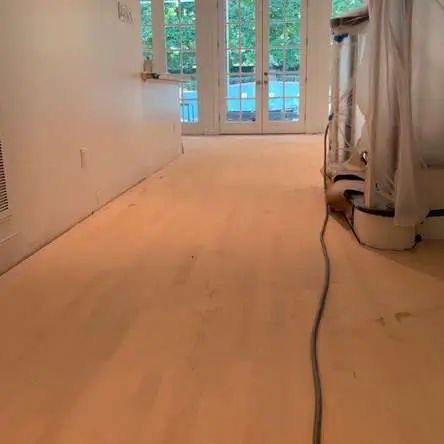 Empty room with light wood floor, a cord on the right, and French doors opening to greenery.