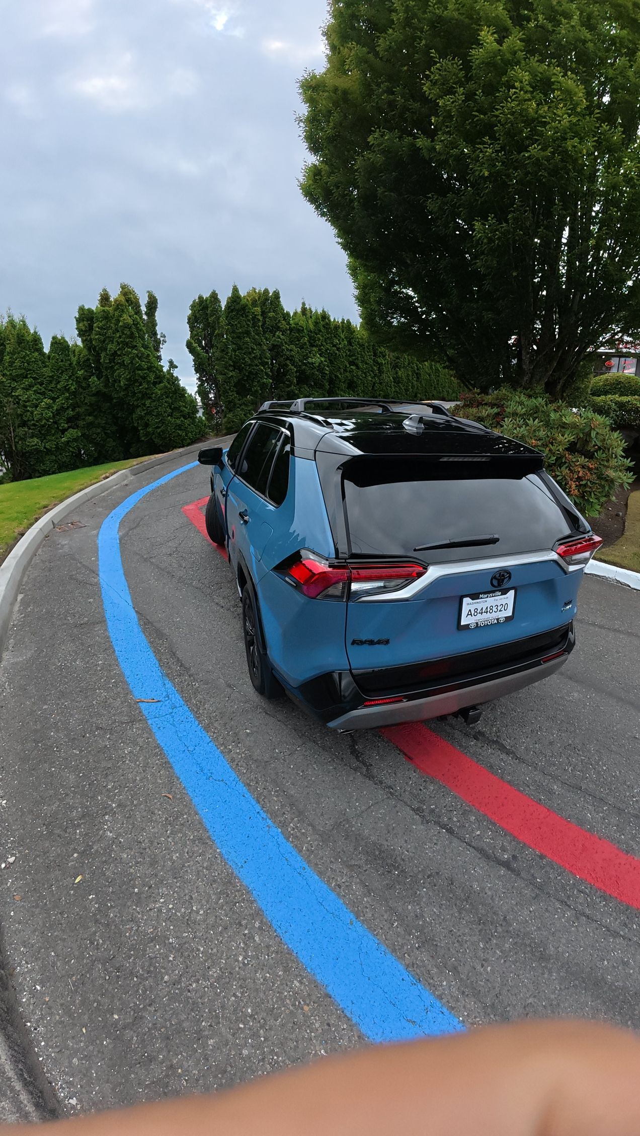 Blue convertible driving on a curving road with red and blue painted lines, trees lining the roadside