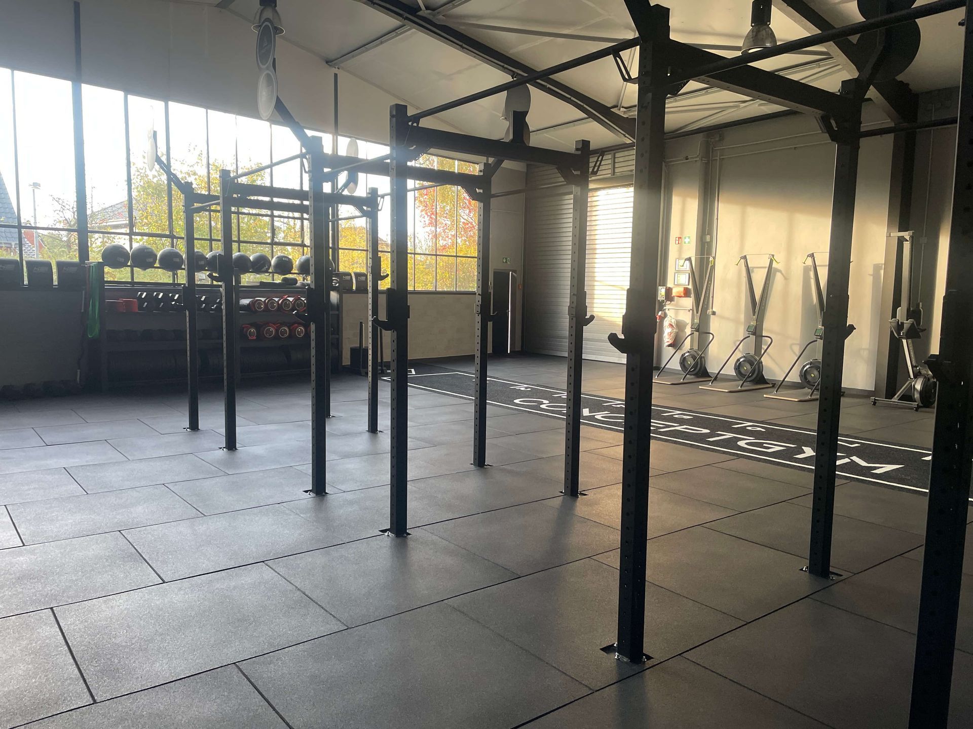 Conceptgym Rig