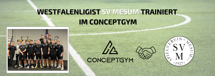 Westfalenligist SV Mesum