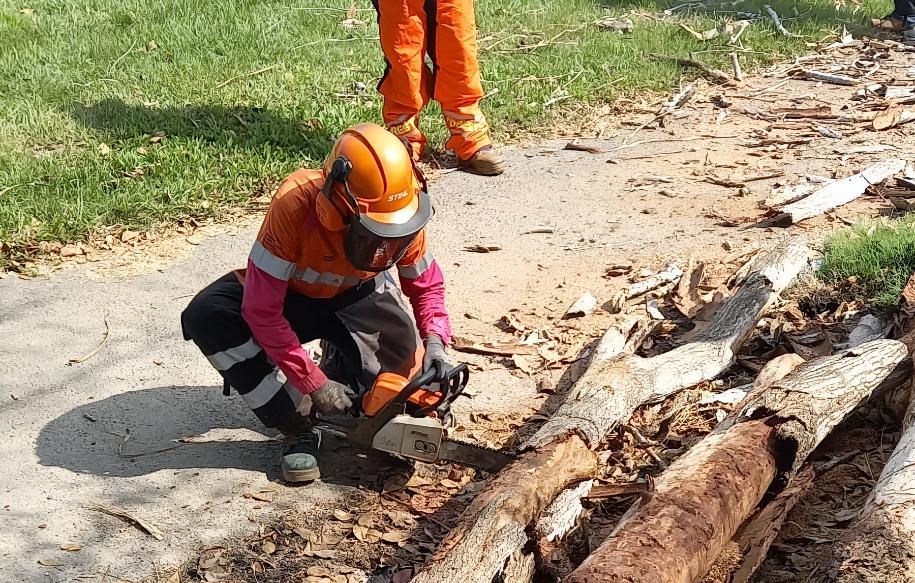 A Man Wearing a Helmet is Kneeling Down Next to a Pile of Logs — Advanced Industry Training In Mackay, QLD