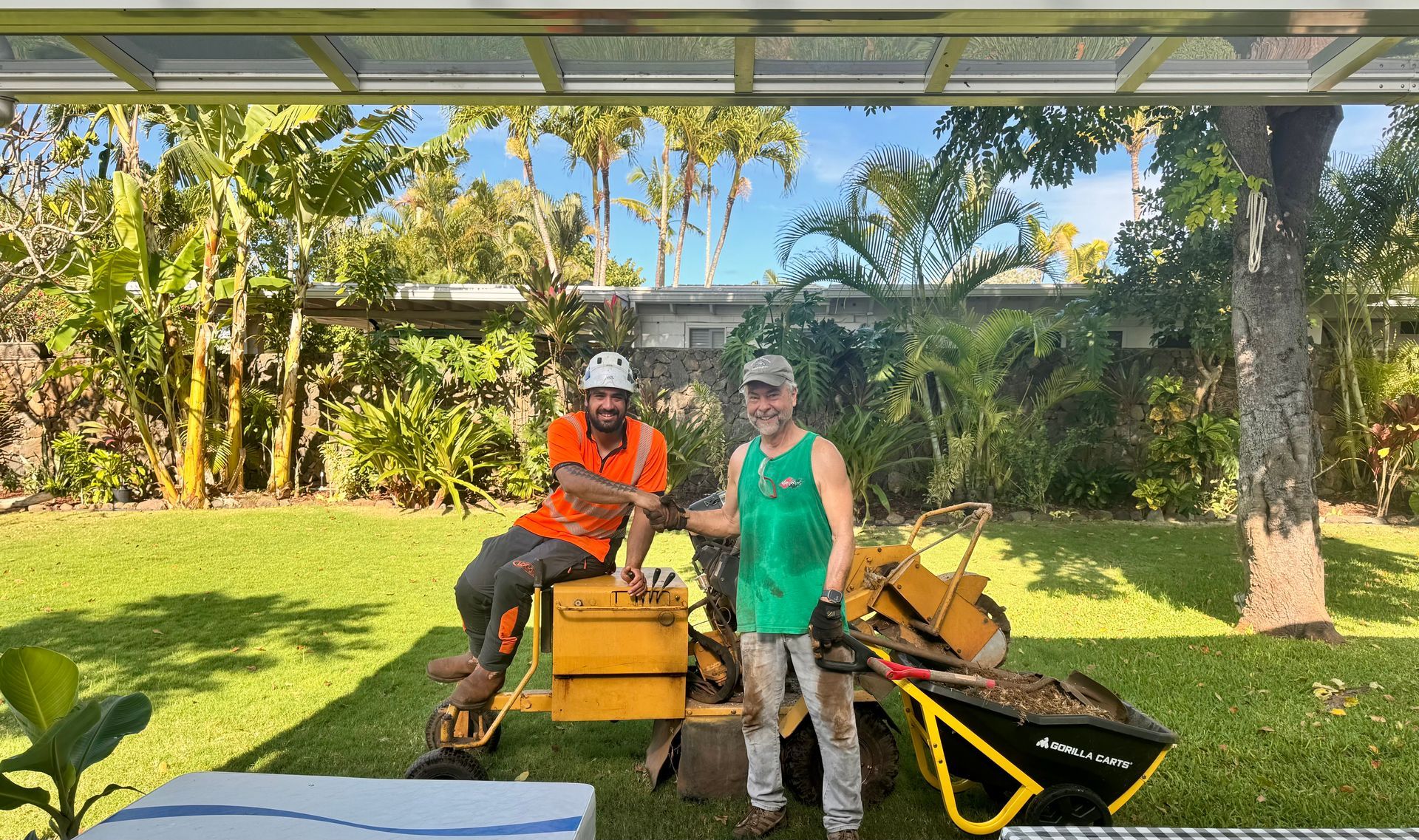 Two men with a stump grinder on a lawn. One man in orange shirt, the other in green. Bright sunny backyard. Two men with a stump grinder on a lawn. One man in orange shirt, the other in green. Bright sunny backyard.