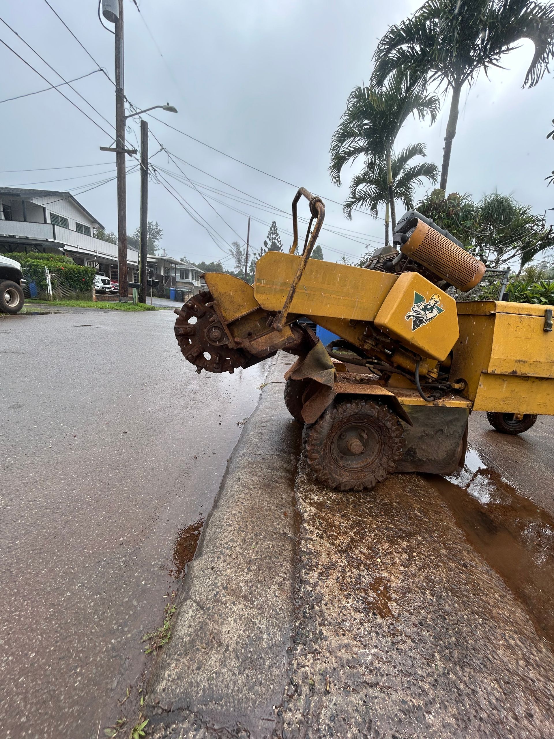 A yellow stump grinder on a wet road, grinding a tree stump near a curb. A yellow stump grinder on a wet road, grinding a tree stump near a curb.