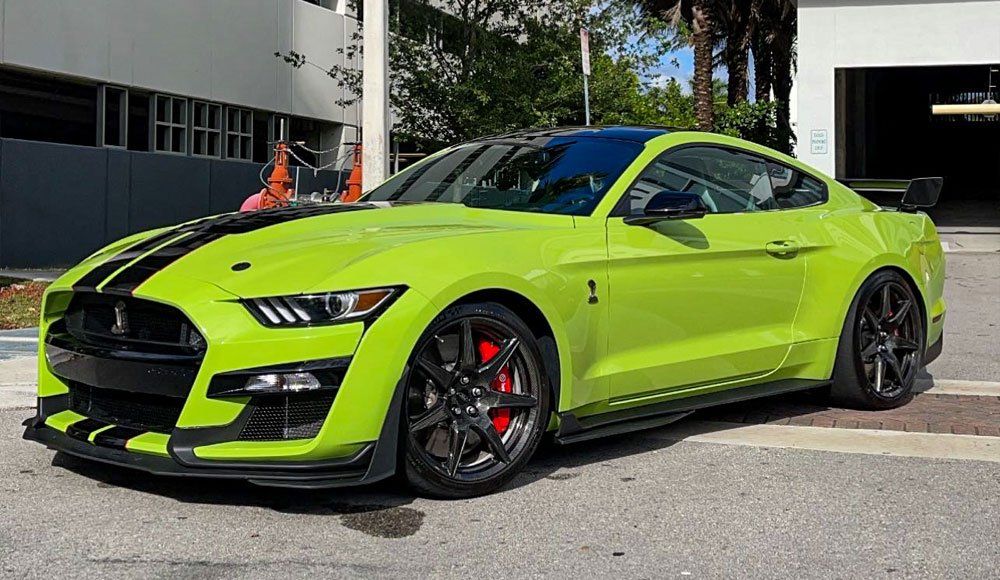 Clear bra installed on shelby front bumper