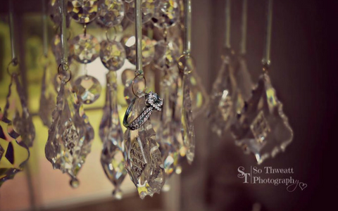 Crystal chandeliers with hanging pendants and metal chains in warm indoor lighting, with a small bird perched among them