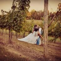 Couple embracing in a vineyard, with the bride’s white dress flowing beside wooden posts and grapevines.