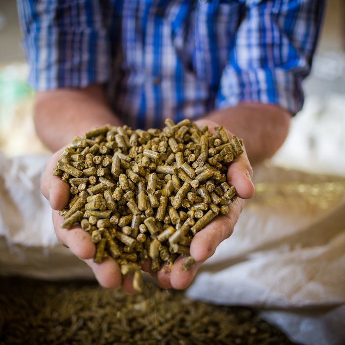 Quality Pellets