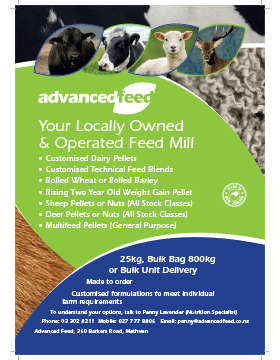 Advert 1