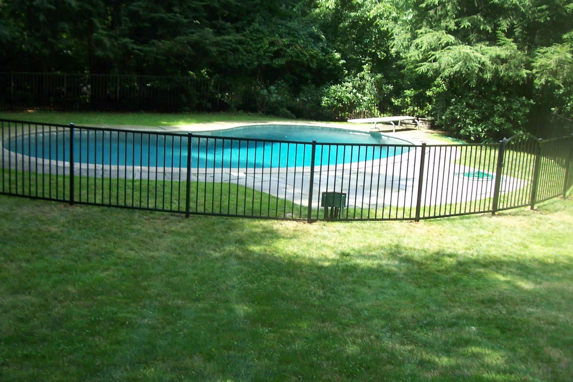 Backyard pool with black metal fence and green lawn, bordered by trees and a white deck.