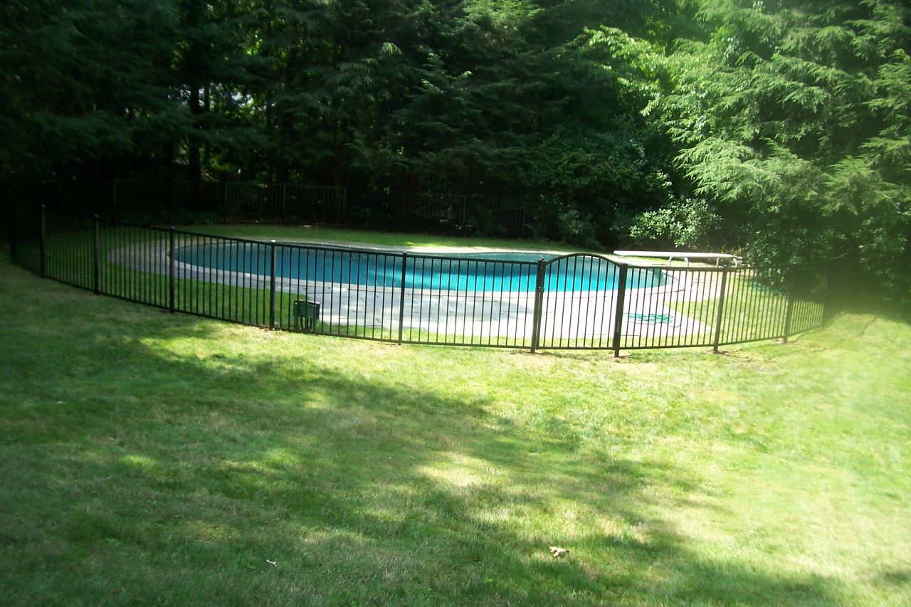 Backyard pool surrounded by a black fence and dense green trees