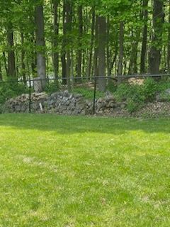 Green lawn in front of a stone wall and dense trees in a wooded backyard.