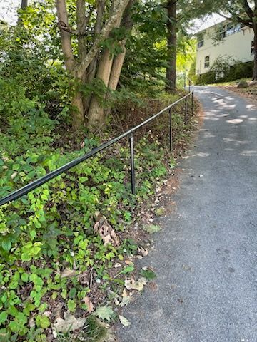 Narrow uphill paved path beside a black handrail, lined with trees and ivy, leading to a white house.