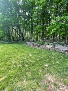 Grassy lawn beside a wooded area with a low stone wall and wire fence
