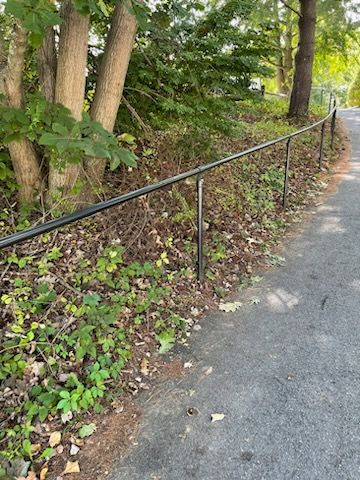 Wooded path beside a black handrail along a gravel road