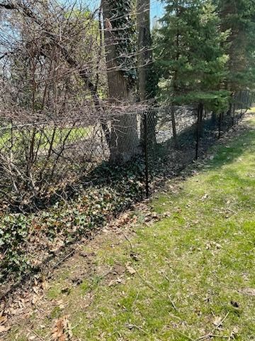 Wooded path beside a black wire fence with green grass and leafless shrubs