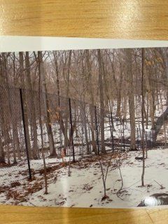 Snow-covered wooded slope with bare trees and a fallen log under overcast winter light