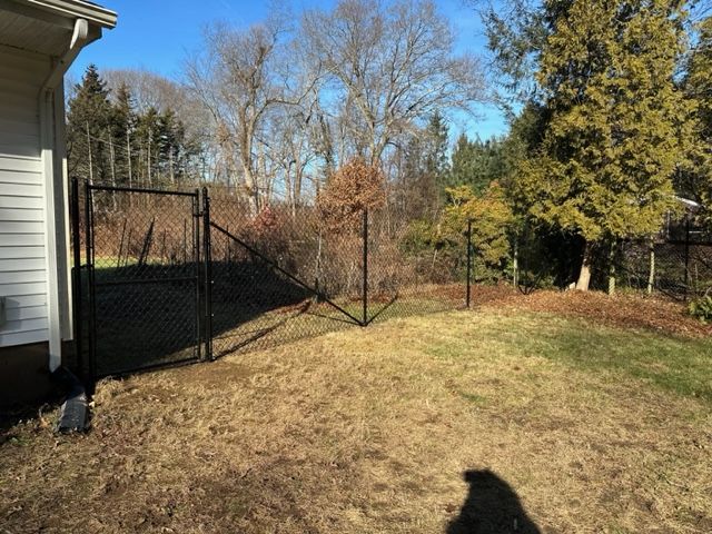 Backyard with patchy grass, black chain-link fence, bare trees, and a house corner on the left