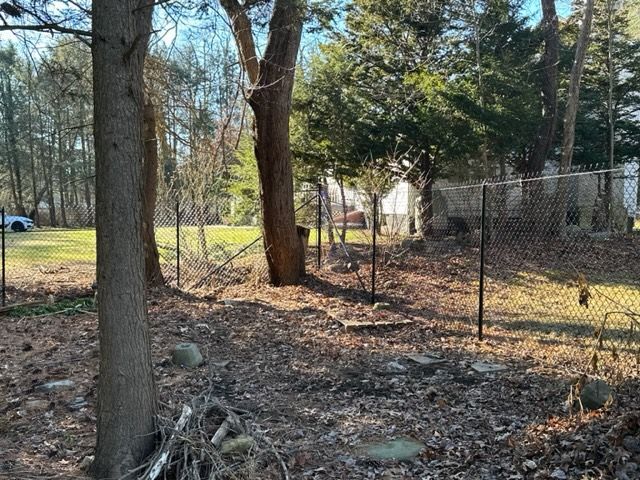 Wooded yard with chain-link fence, tall trees, and scattered rocks in sunlight