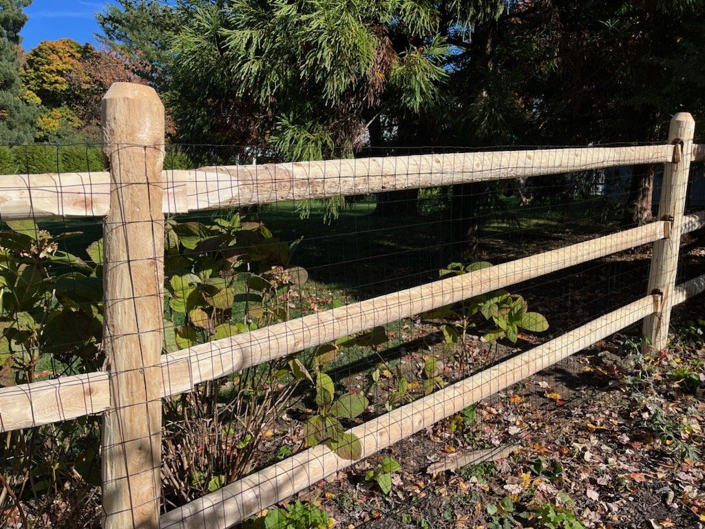 Weathered wooden fence in front of a leafy garden with sunlight and fallen leaves on the ground