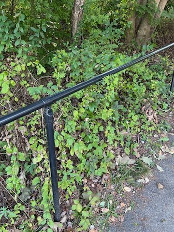 Black metal handrail beside a leafy, overgrown path next to pavement