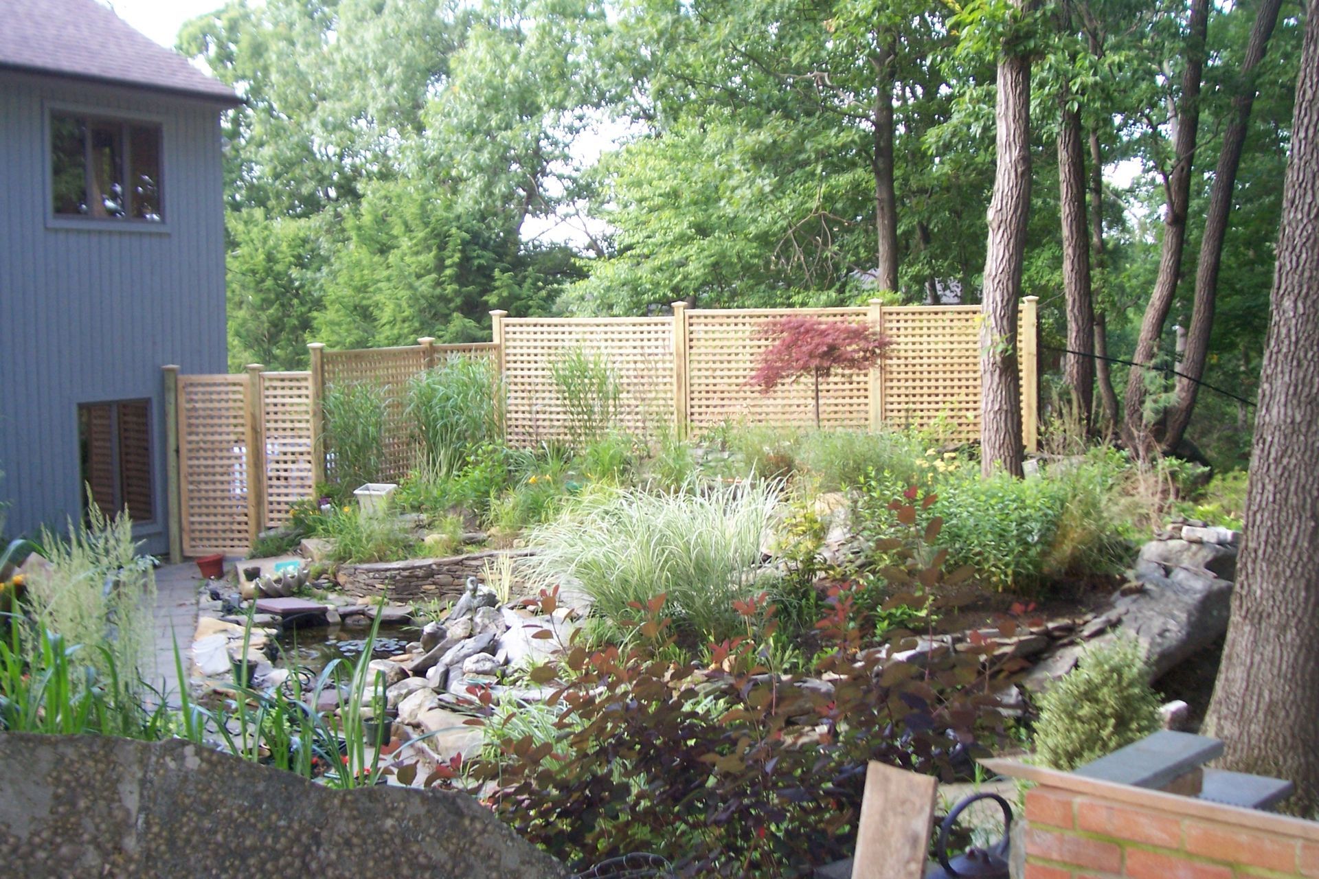 Backyard garden with pond, wooden fence, tall trees, and a gray house on the left