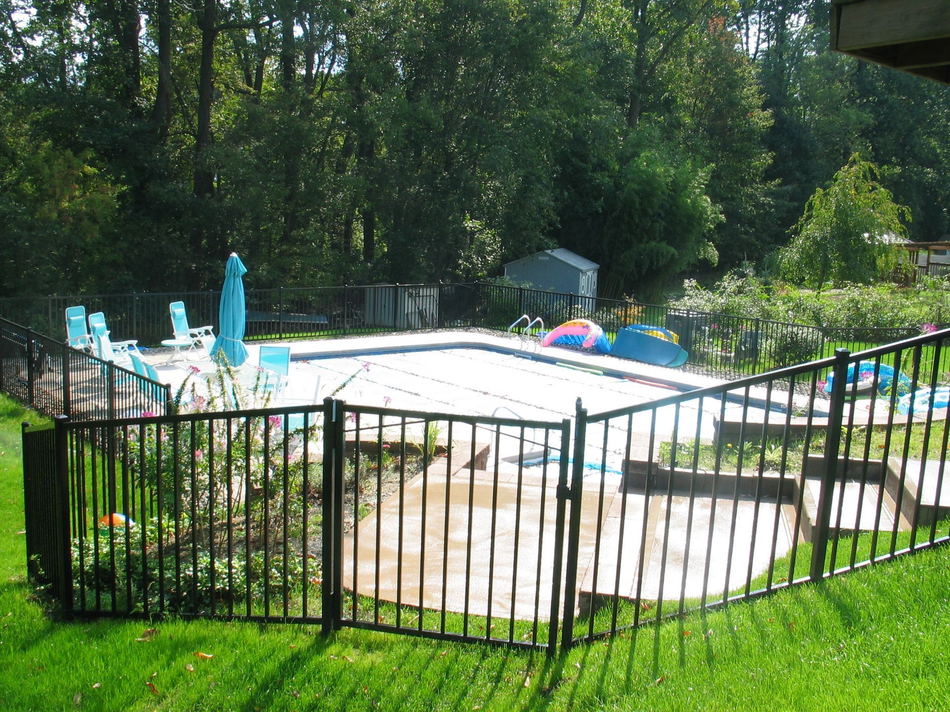 Backyard pool enclosed by black fence, with lounge chairs, umbrellas, and trees around it