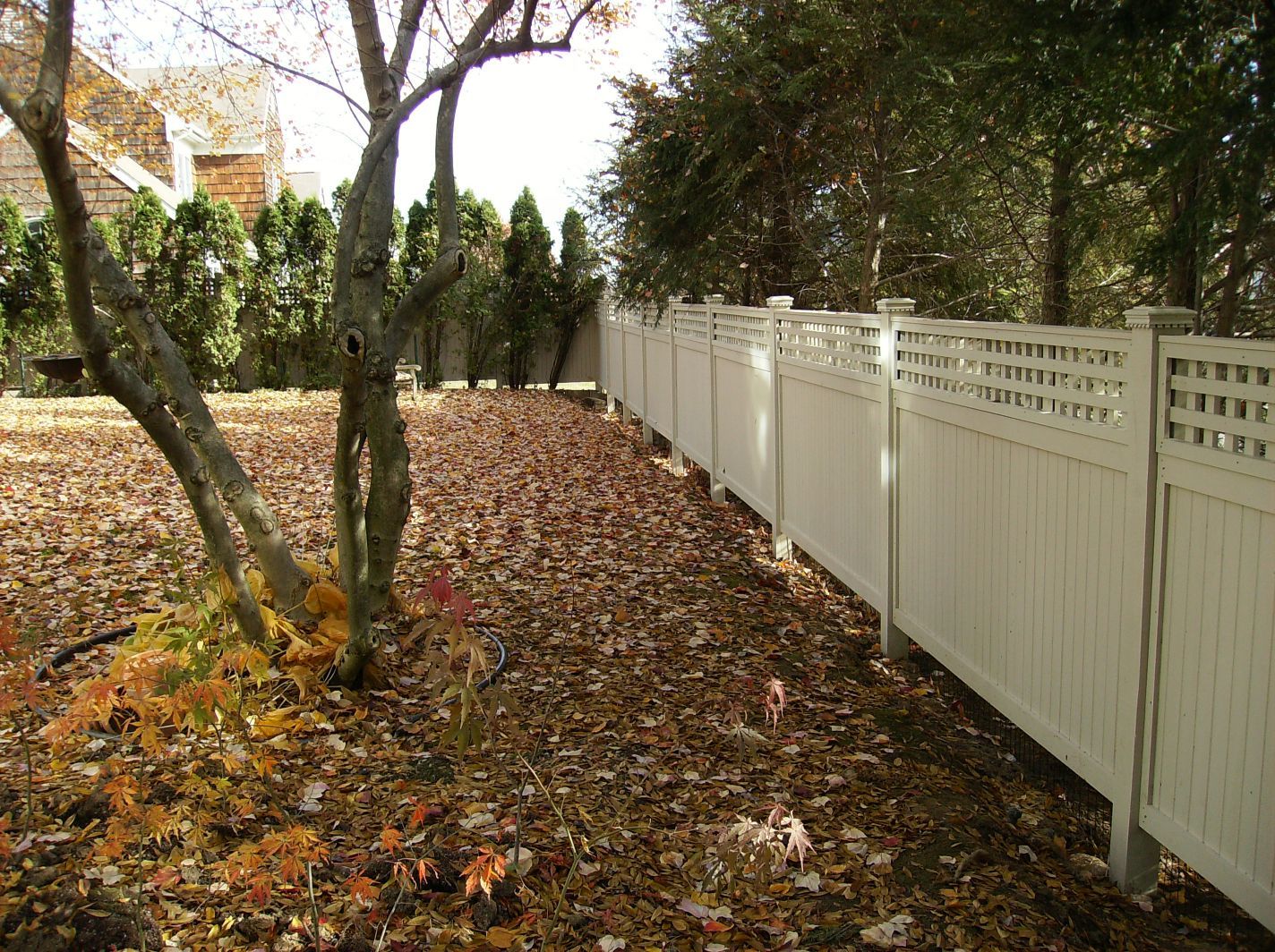 Leaf-covered yard beside a white fence and trees in autumn light
