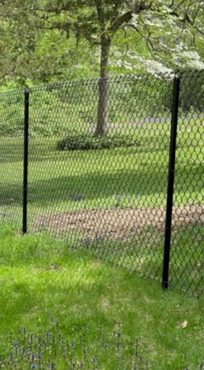 Backyard with green grass, a chain-link fence, and trees in the background
