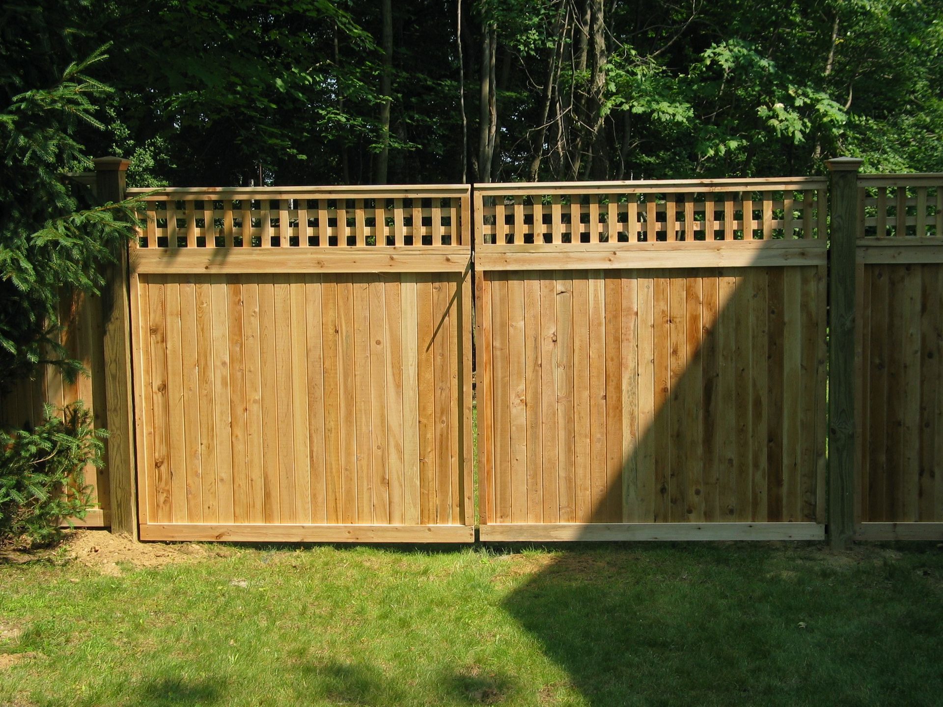 Wooden backyard privacy fence with lattice top, bordered by grass and trees