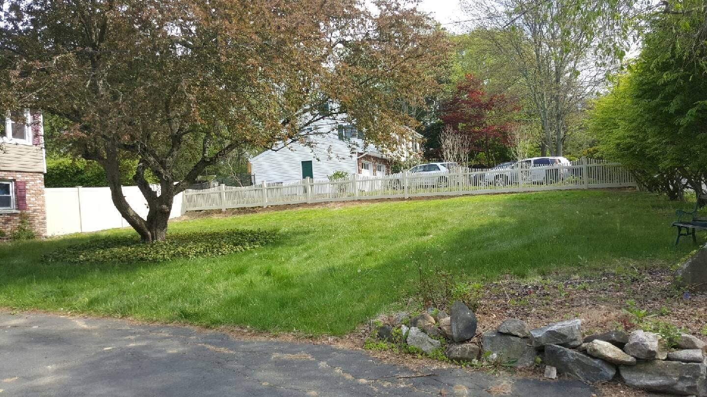 Grassy yard with trees, rocks, and a paved driveway beside houses on a quiet street