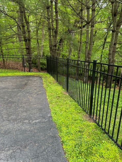 Curved driveway beside black metal fence and bright green grass in a wooded yard